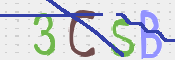 この文字を入力してください