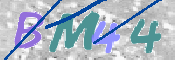 この文字を入力してください