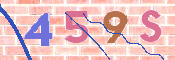 この文字を入力してください
