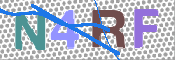 この文字を入力してください
