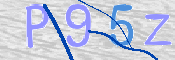 この文字を入力してください