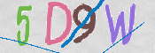 この文字を入力してください