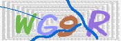 この文字を入力してください