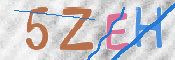 この文字を入力してください