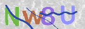 この文字を入力してください