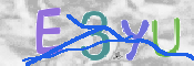 この文字を入力してください