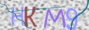 この文字を入力してください