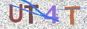この文字を入力してください