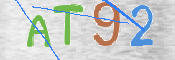 この文字を入力してください