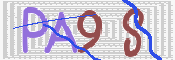 この文字を入力してください