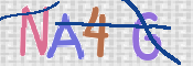 この文字を入力してください