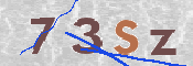 この文字を入力してください