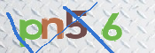 この文字を入力してください