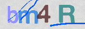 この文字を入力してください