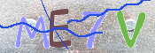 この文字を入力してください