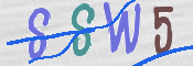 この文字を入力してください