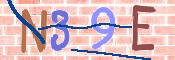 この文字を入力してください