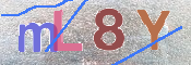 この文字を入力してください