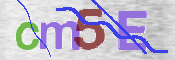 この文字を入力してください