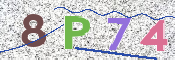 この文字を入力してください