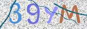 この文字を入力してください