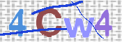 この文字を入力してください