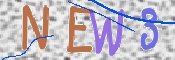 この文字を入力してください