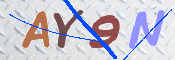 この文字を入力してください