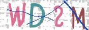 この文字を入力してください