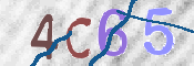 この文字を入力してください