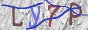 この文字を入力してください