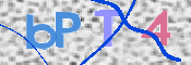 この文字を入力してください