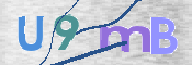 この文字を入力してください