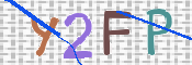 この文字を入力してください