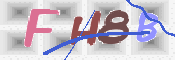 この文字を入力してください