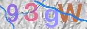この文字を入力してください