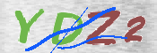 この文字を入力してください