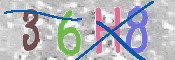 この文字を入力してください