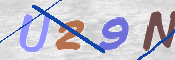 この文字を入力してください