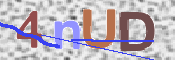 この文字を入力してください