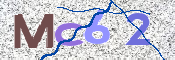 この文字を入力してください