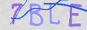 この文字を入力してください