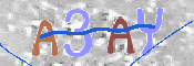 この文字を入力してください