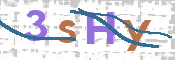この文字を入力してください