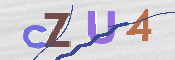 この文字を入力してください