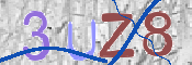 この文字を入力してください
