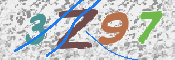 この文字を入力してください