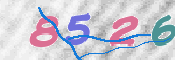 この文字を入力してください