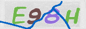 この文字を入力してください