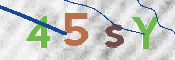 この文字を入力してください